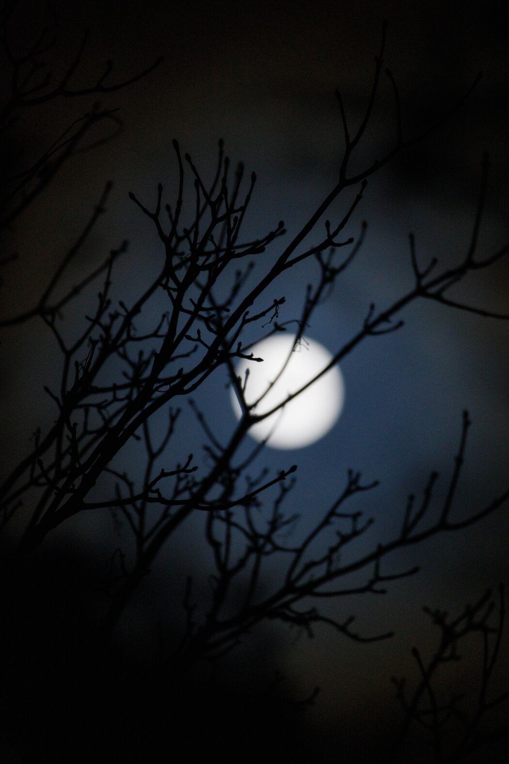 Küstenlandschaft in Norddeutschland