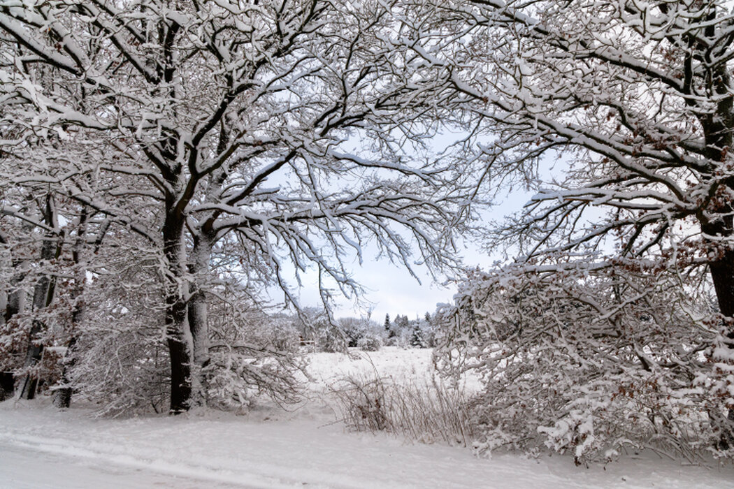 Weite Wüste mit Spur im Sand